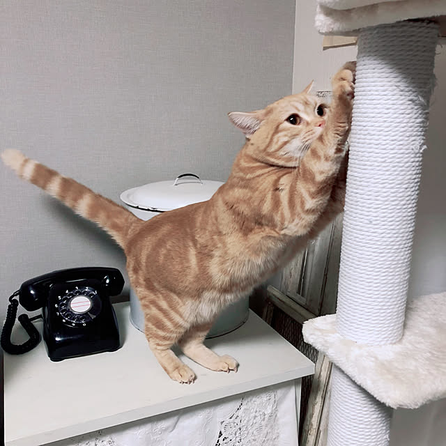 Atelier.mさんの実例写真
