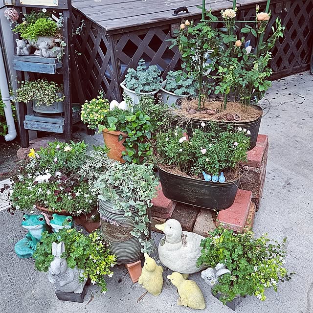 mocomocoさんの実例写真