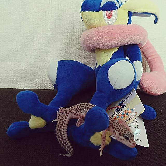 nijintieloveさんの実例写真