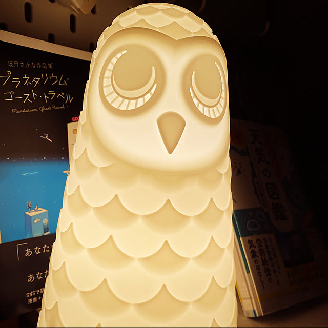 nijintieloveさんの実例写真