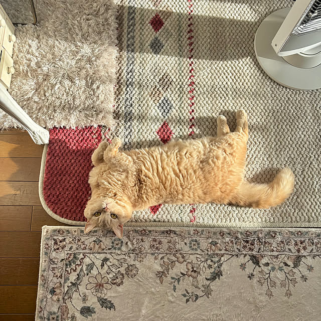 naokoさんの実例写真