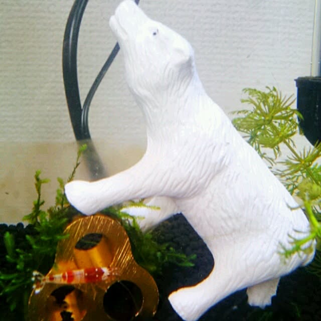 Little-Bambiさんの実例写真