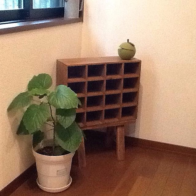 Mikaさんの実例写真