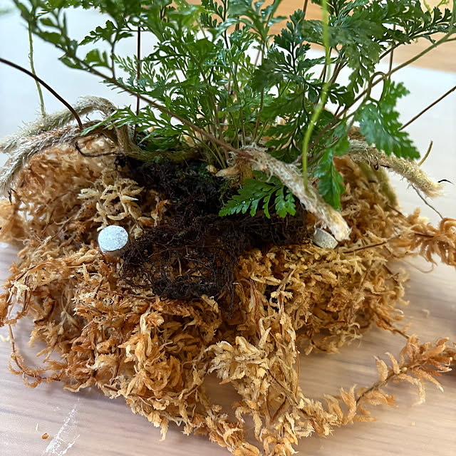 CoffeeHouseさんの部屋