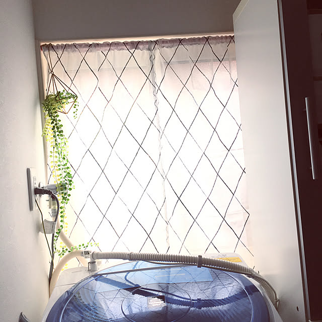 tommyさんの実例写真