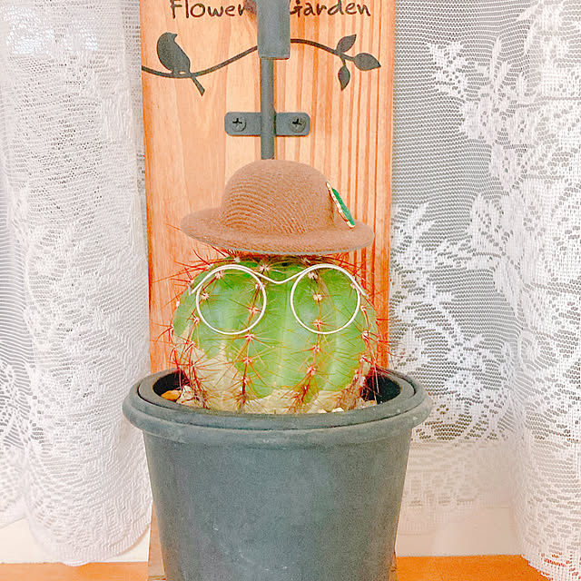 Hanakaさんの部屋