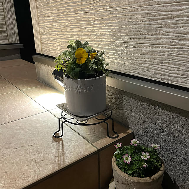 実例写真