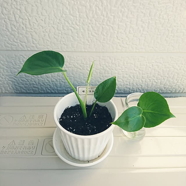 sさんの実例写真