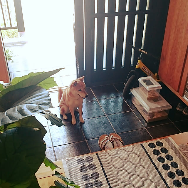 wakaba223さんの実例写真