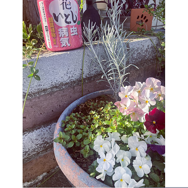 CoCo0617さんの部屋