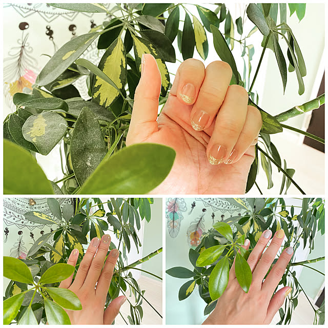 waiさんの実例写真
