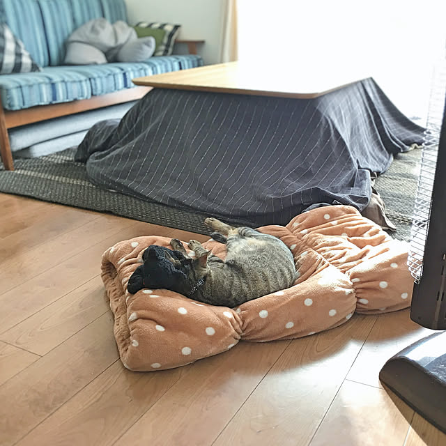 mattunn24さんの実例写真