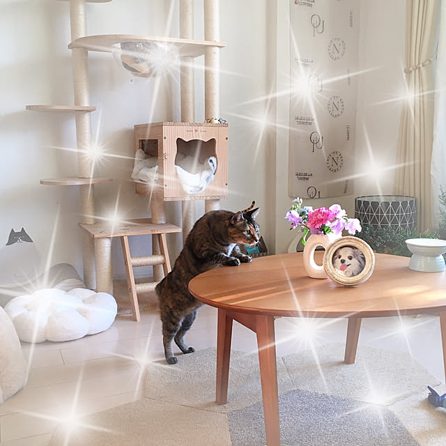 oasisさんの部屋