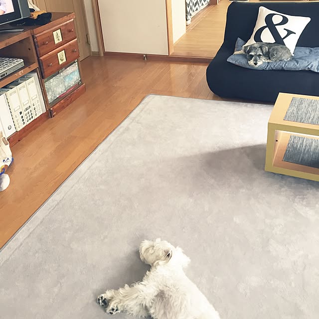 Mahoさんの実例写真