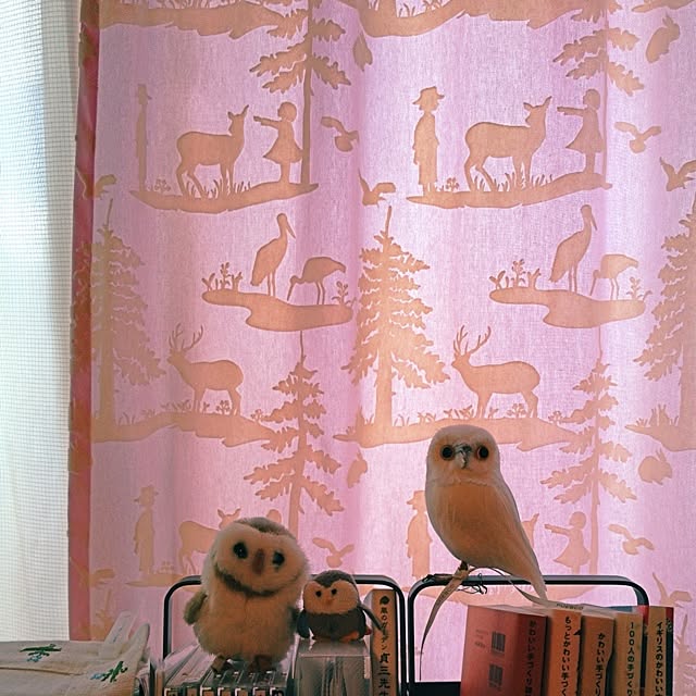 domadoma1212さんの実例写真