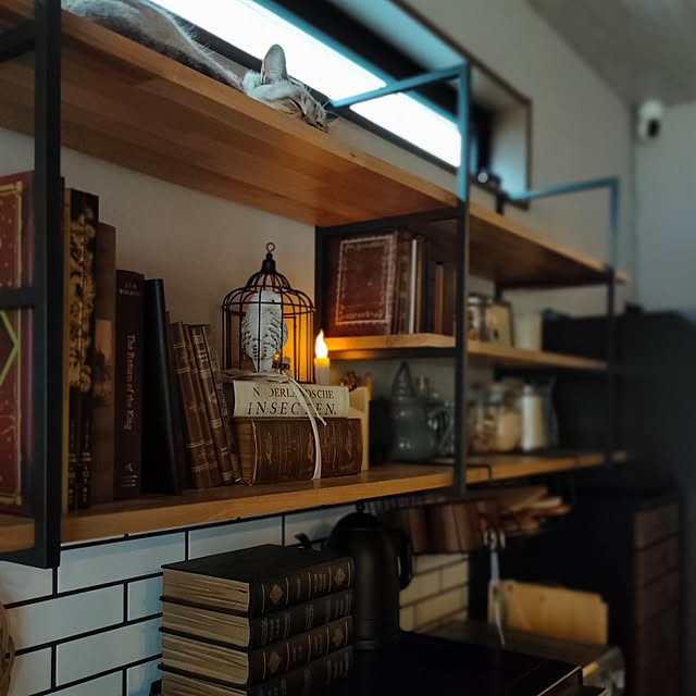 Atelier_tamakiさんの実例写真