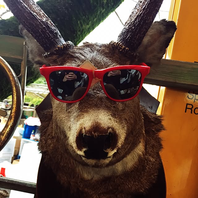 Takashiさんの実例写真