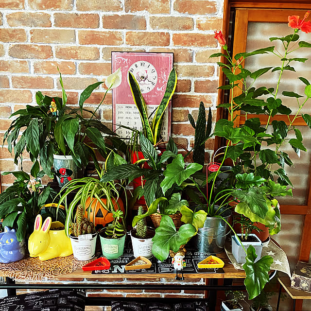 aimina0107さんの実例写真