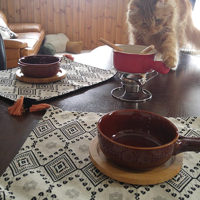l..tomesanさんの実例写真