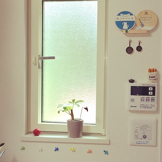 Chamさんの実例写真