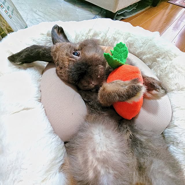 mariaさんの実例写真