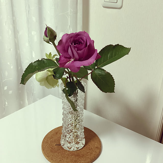 richanさんの部屋