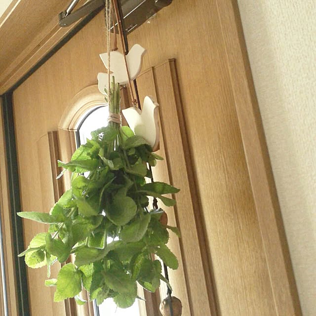 aiuekkoさんの実例写真