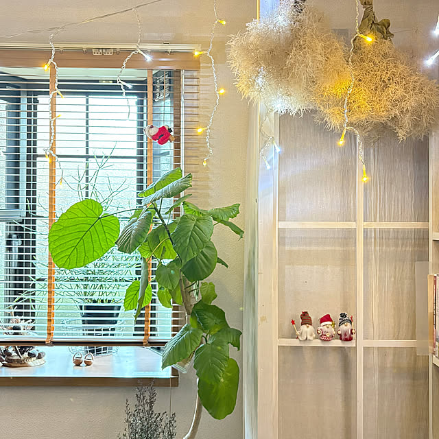 mayuringoさんの部屋