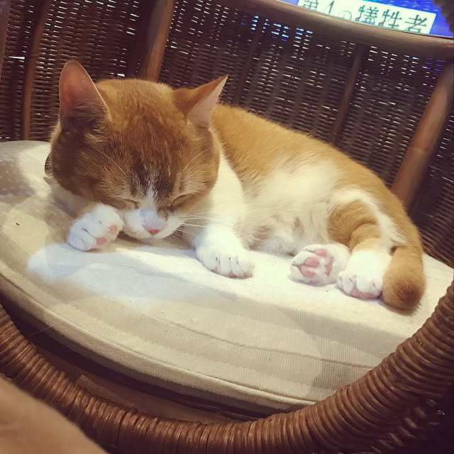 KotarouKunさんの実例写真