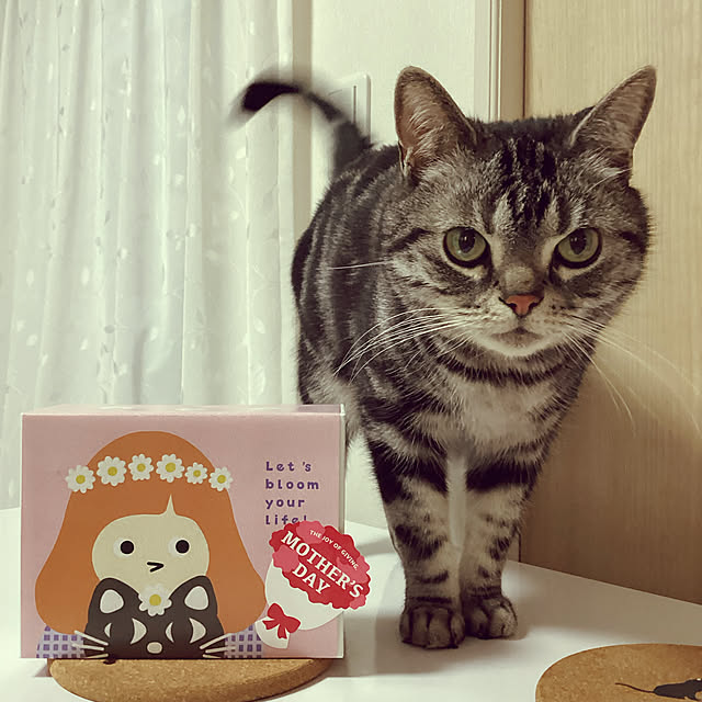 richanさんの実例写真