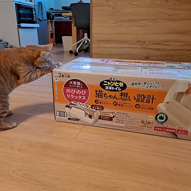 kiyohima229さんの実例写真