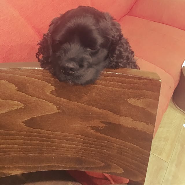 tatsuさんの実例写真