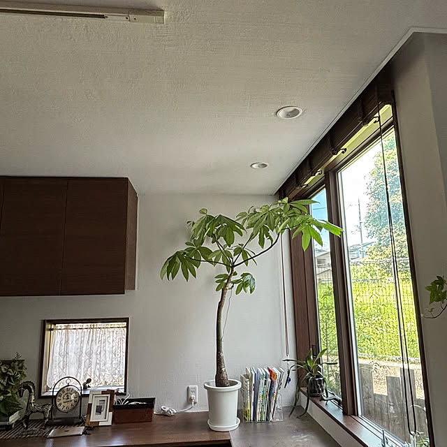 maimai0110さんの部屋