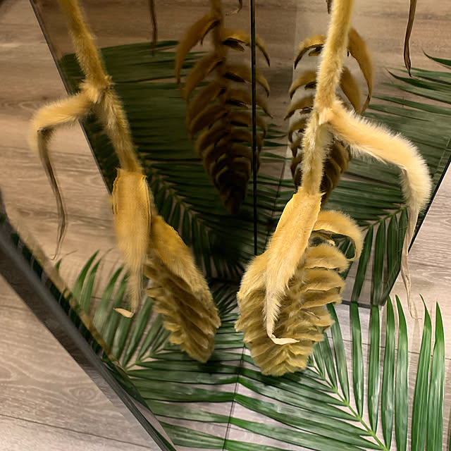 YANNAさんの実例写真