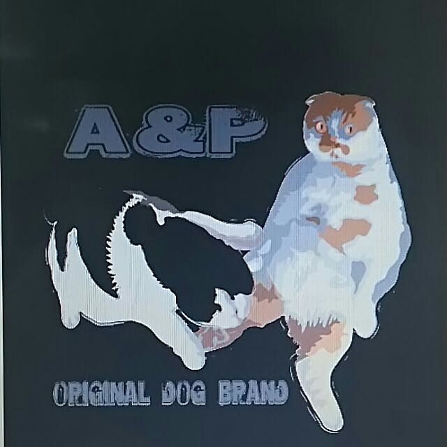 AandPさんの実例写真