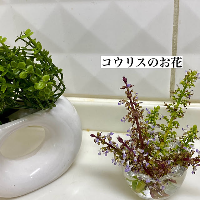 YuuKoさんの実例写真