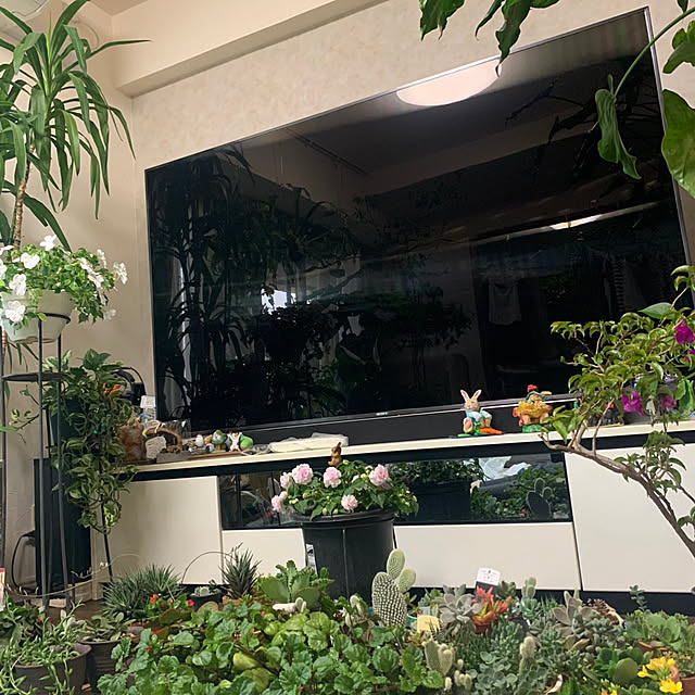 Aqettyさんの部屋