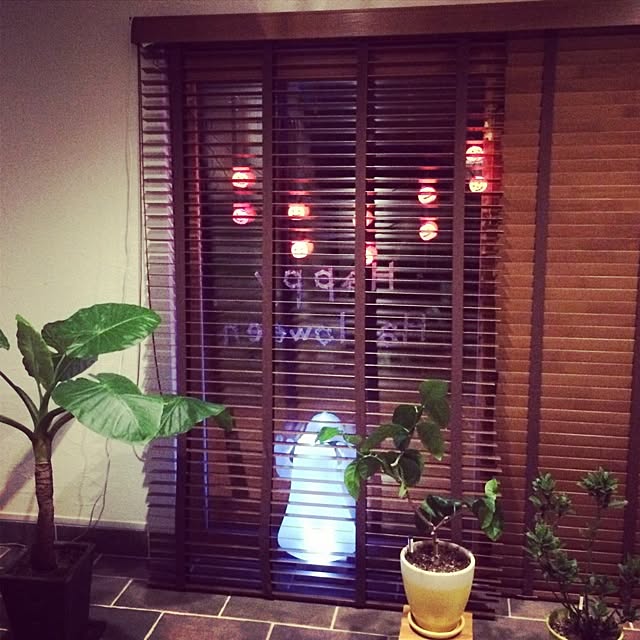 soupさんの実例写真