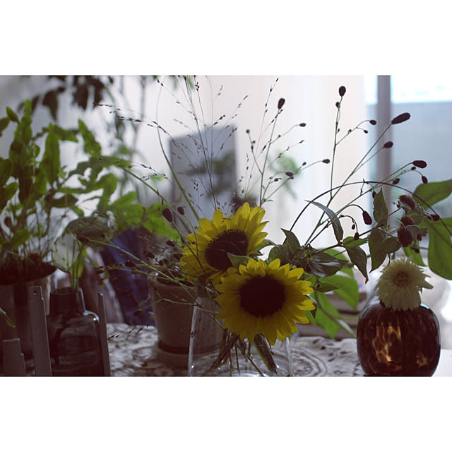 susaayuさんの部屋