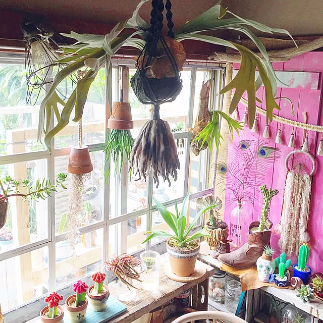 edenさんの実例写真