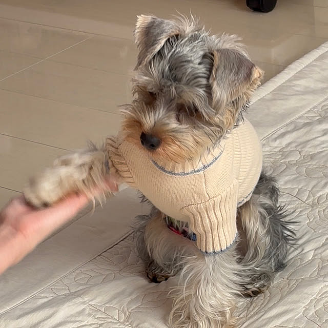 oceanさんの部屋