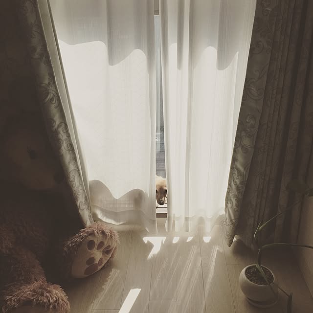 rii.0v0-0x0.0204さんの実例写真