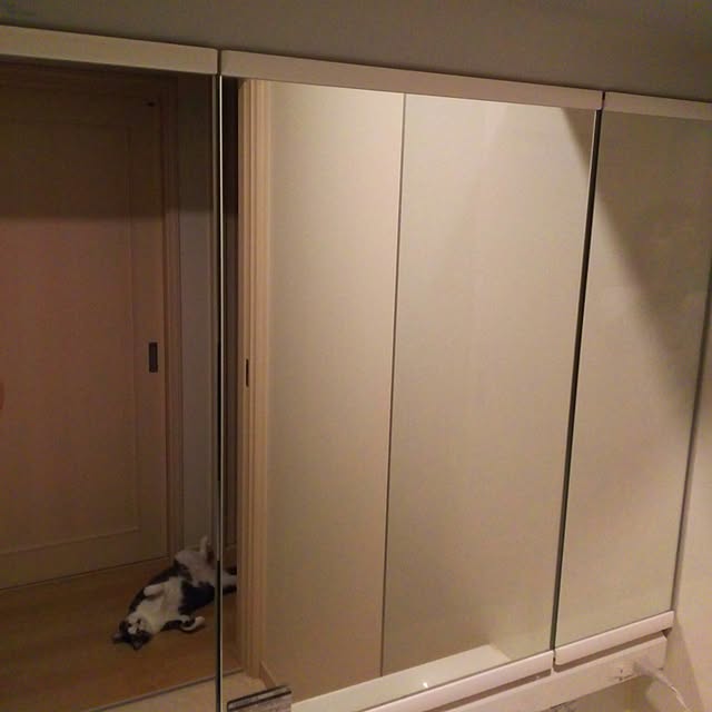 millsukeさんの実例写真