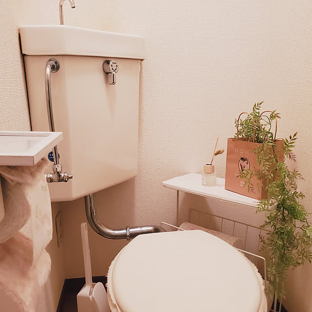 shiinaさんの実例写真