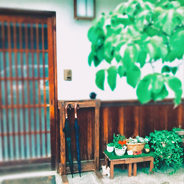 maroさんの実例写真