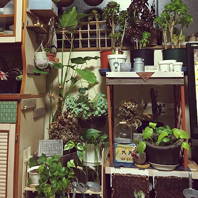 Norikoさんの実例写真