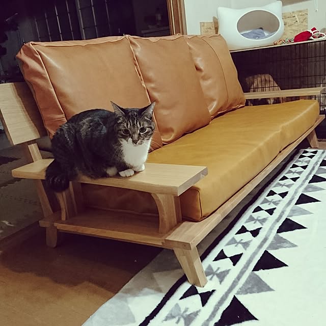 gorohotaさんの実例写真