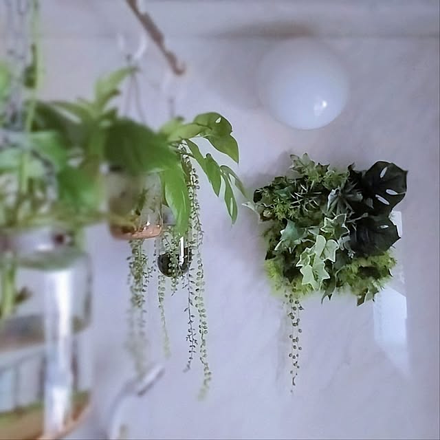バス/トイレ/フェイクグリーン/浴室の壁/ハンドメイド/ホッとする空間...などのインテリア実例 - 2025-03-01 15:08:14