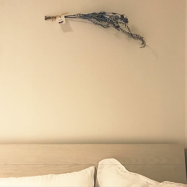 sさんの実例写真