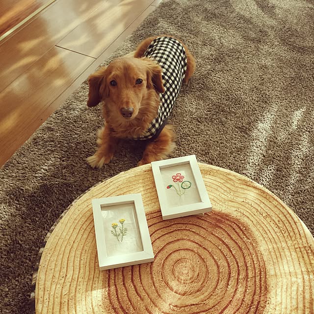 sumireさんの実例写真